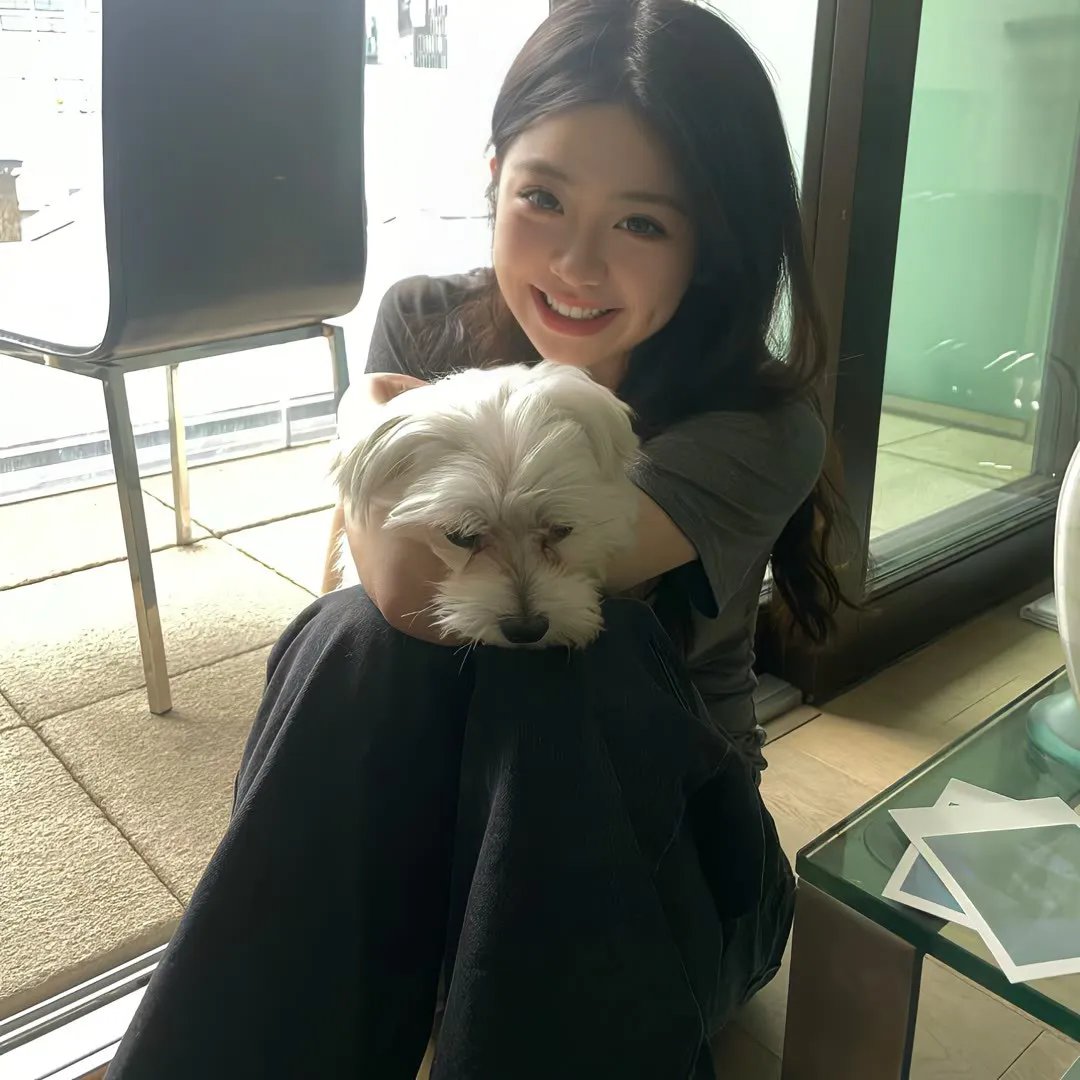 陀枪师姐3